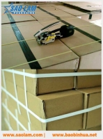 Dây đai nhựa nẹp thùng carton